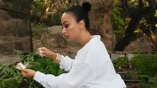 Explore a Vast Collection of Stunning Photos Featuring Draya Michele