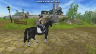SSO LIPIZZAN!!!???