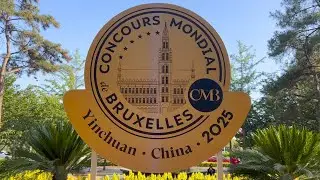 What do WINE PROs think about Chinese WINE???