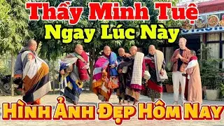 Hình Ảnh Mới Nhất Thầy Minh Tuệ Ngay Lúc Này 17/1 #suminhtue #thayminhtue #thienchiukho 