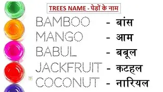 Plant parts name || पौधे के भागों के नाम || Plant parts name hindi and english #study