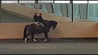 Editions Soleil-Mio im Training unter Jürgen Rask