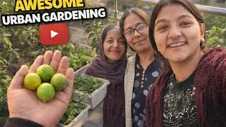 घर की छत पर बहुत सारी चीज़ें उगाई हैं मौसी जी ने 😱😱#newdelhi 