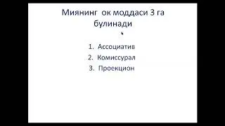 Bosh Miyaning oq moddasi Иброхимова Л.И