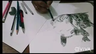 New work- 🐈 billi ( Kitten) and titli ( butterfly) sketch