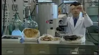 Shit Burger: Japanese Researcher Creates Artificial Meat From Human Feces