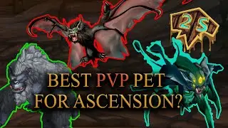 Best PvP Pet for Project Ascension - Season 7