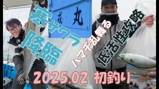 鳴門サワラ降臨！淡路島【戎丸】【ブリ】【サワラ】鳴門ジギング堪能！低活性に効いたジグは？？
