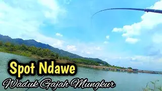Mancing Di Waduk Gajah Mungkur Ketemu Youtuber Top Dari Gunung Kidul
