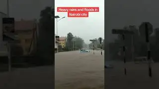 OMG😲 Heavy Rainfall😳 #kenya #heavyrain #disaster #flood #water #rain #thunder #thunderstorm #viral