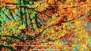 A moment of pure escape.Sound on.🎧#nature#aesthetic#visualtherapy#cinematic#videography#oc#alyshafu