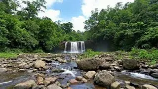 12 Hours Relaxing Waterfall & Flowing Water Sounds 🌊 Stress Relief, Sleep, Meditation & Focus
