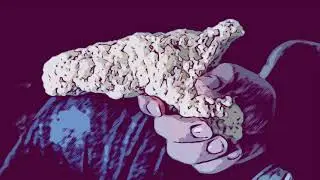 Fat Nick - K.O. (Slowed)
