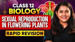 Class 12 Biology Sexual Reproduction in Flowering Plants - Rapid Revision | Board Exam 2026 🔥