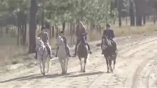 Carolinas Foxhound Performance Trials hosted by the Sedgefield Hunt