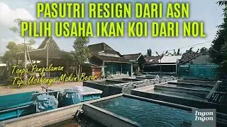 Pasutri Resign ASN, Mulai Usaha Ikan Koi Dari Nol Tanpa Pengalaman, Kini Usahanya Makin Besar