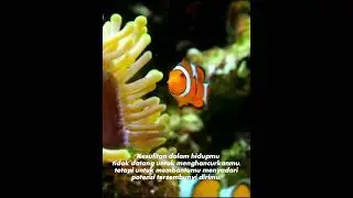 tetap semangat berproses kawan    @YouTube @ViralYouTubeShortsNo1 @YouTubeahorts