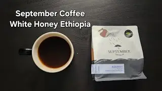 September Coffee Co. Review (Ottawa, Ontario)- White Honey Ethiopia Basha Bekele (Extra-Light)