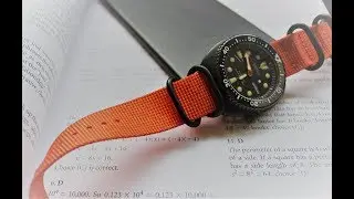Seiko turtle black series (Limited edition) + daylume shot , Close look! HD!