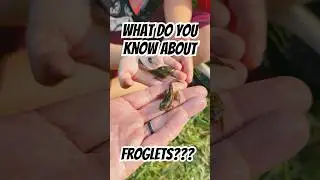 Tadpoles and Froglets?!? #dofunstuff #fishing #explore #frog #tadpole #herping #family #froglet