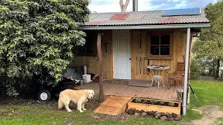 Garden Cabin / Shed Build - Building a Mosquito repellent Garden Bed