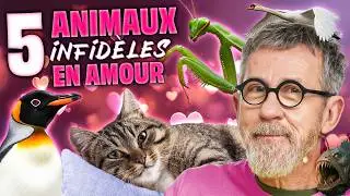 Les animaux sont-ils infid&egrave;les en amour ?