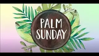Family Palm Sunday Devotion: Hosanna! Jesus our King and Rescuer!