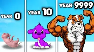 Birth To Death in Dog Life Simulator