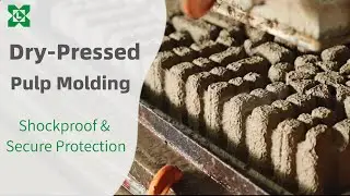 Dry Press Molded Pulp Manufacturing Process: Complete Factory Tour | Lvxin Packaging Technology