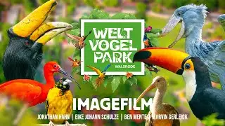 WELTVOGELPARK WALSRODE - Ein Abenteuer, das befl&uuml;gelt!
