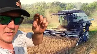 2021 IOWA OAT and STRAW HARVEST!