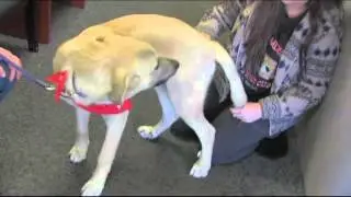 WMTR's Rock N Ruff with Sampson