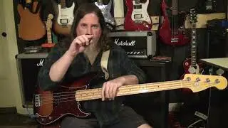 Half Round Bass String Review