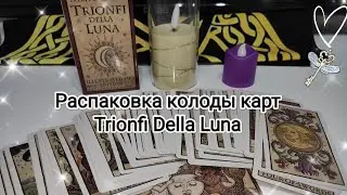 Распаковка колоды карт Trionfi Della Luna