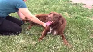 {fidoFRIDAY} People Pooch Edition!