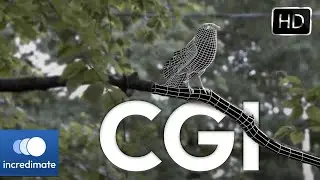 CGI Animation Sparrow - Incredimate Studio