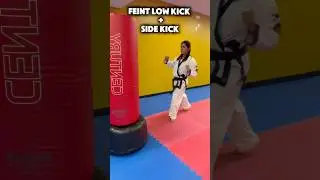 Feint Low Kick + Side Kick #martialarts #karate #fyp