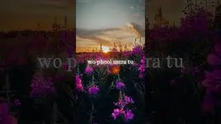 Finding Her - Female Version 👀✨ || Santanukonwar,editz #lyrics