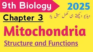 Mitochondria ||Class 9 Biology Chapter 3 New Book 2025 || The Cell 