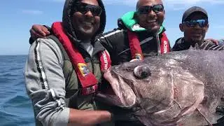 Bass Fishing New Zealand