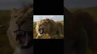 Mufasa Vs White Lions 🥵🥶🥶 4k Ultra HD Movie Name Mufasa The Lion King 🦁👑