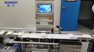 High-Speed Checkweigher for Packaging Line Box Dynamic Checkweighing Machine