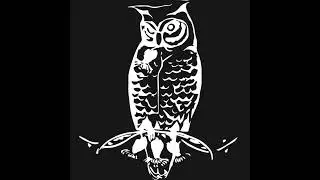 Aqualizard live at the Owl N Thistle Irish Pub