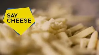 Creating The Perfect Plant-Based Cheese With Science