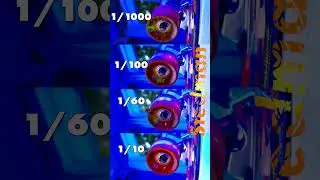 What Is Shutter Speed? Visual Comparison #camerasettings #shutterspeed  #newcreator  #videoquality