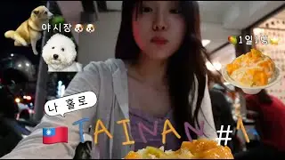 vlog | 4박 5일 첫 🇹🇼여행 /타이난 정체불명 공포의 새떼들 ep.1