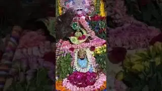 सजके नीला है तैयार | manona Dham Bareilly Uttar Pradesh #shyam #manonadham