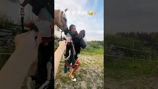 😭🤣🤗 #pferd #horse #bayern #equestrian #reiten #pferde #pony