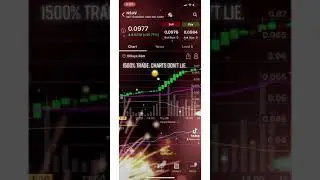 NSAV 7/29