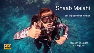 &Auml;gypten 2023 - Teil 5 - Diving Marsa Alam | Die Brinkmanns